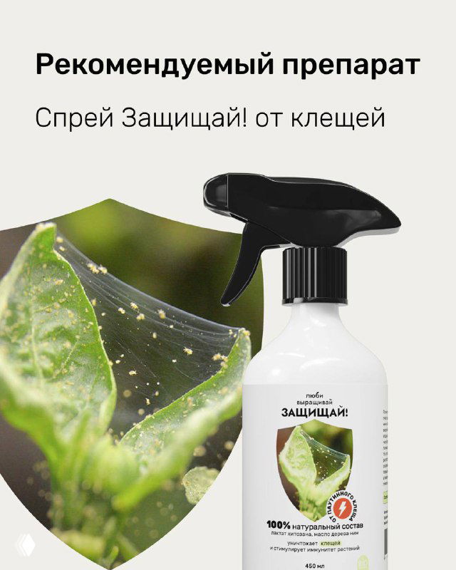 Фотография спрея «Защищай! от клещей» на фоне листа — рекомендуемый препарат для обработки растений против паутинного клеща.