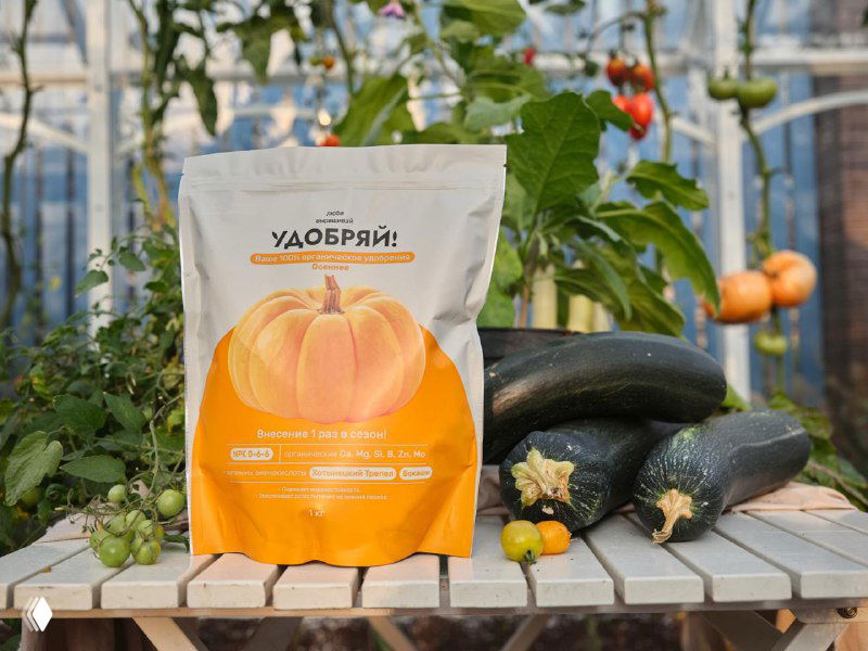 Пакет удобрения «Удобряй» на деревянном столе в теплице рядом с кабачками и тыквой — упаковка продукта и овощной контекст применения
