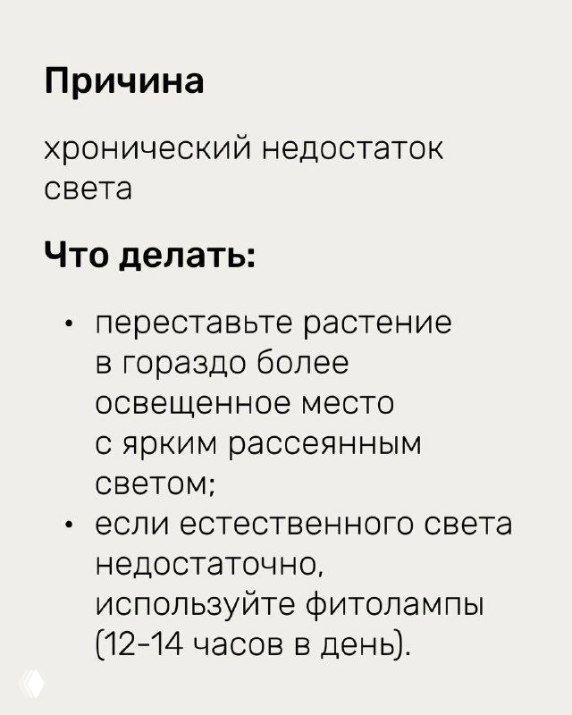 Слайд с причинами и рекомендациями: хронический недостаток света как причина; советы — переставить растение и использовать фитолампы 12–14 часов в день.