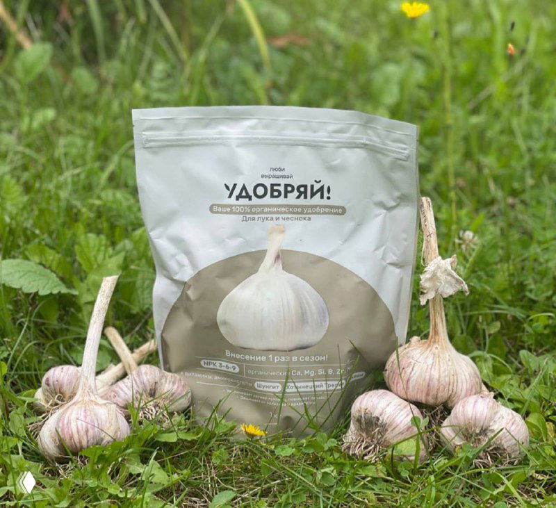 На фотографии — пакет удобрения «Удобряй!» с изображением головки чеснока и несколько свежесобранных головок чеснока на травяном фоне, демонстрация продукта рядом с урожаем.
