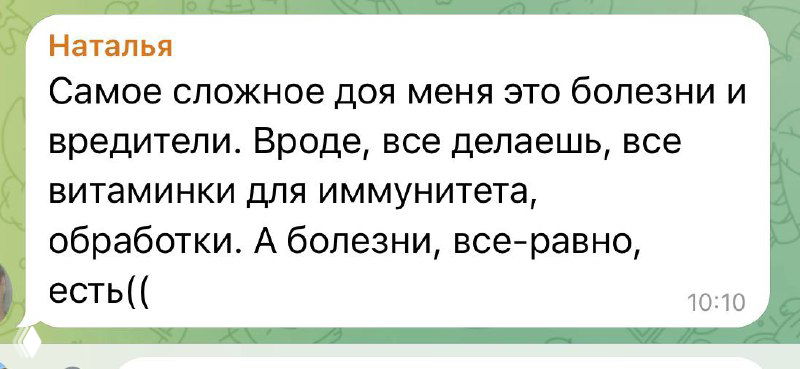Скриншот сообщения в мессенджере на зелёном фоне: пользователь жалуется на болезни и вредителей комнатных растений.