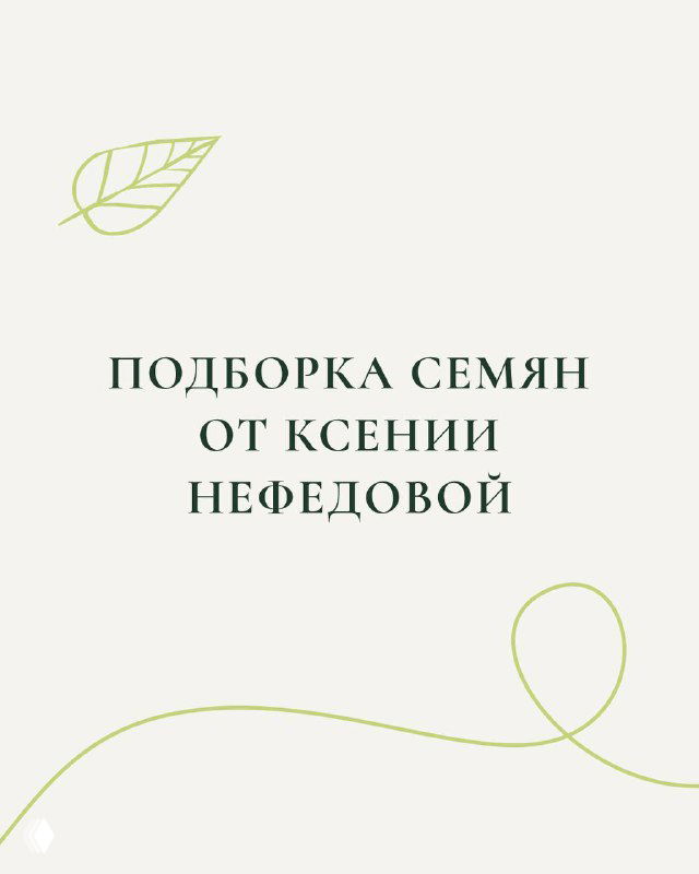 Обложка подборки семян: светлый фон с текстом «Подборка семян от Ксении Нефёдовой», декоративные листики и лаконичная графика в минималистичном стиле.