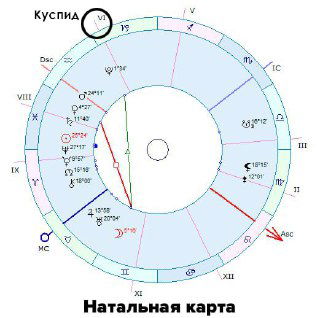 Натальная карта: круговая карта с указанием куспидов, асцендента и обозначением домов — пример карты с известным временем рождения.
