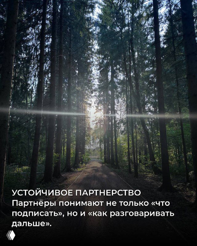 Свет в сосновом лесу; карточка про устойчивое партнёрство и умение вести разговоры 'выше' формального подписания.