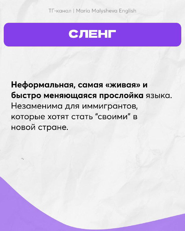 Слайд «СЛЕНГ»: объяснение неформальной, быстро меняющейся прослойки языка — мемы и сериалы; дизайн с фиолетовой шапкой и текстовыми блоками.