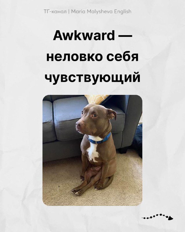 Собака сидит в неловкой позе на диване; карточка «Awkward — неловко себя чувствующий» как пример эмоции на английском.
