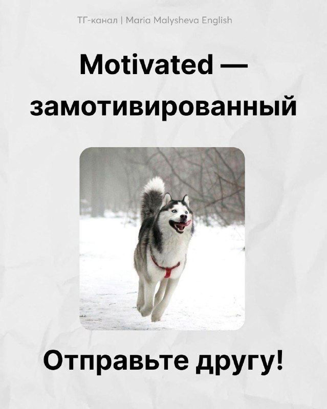 Хаски в движении по снегу, энергичный вид; карточка «Motivated — замотивированный» как мотивационная эмоция на английском.