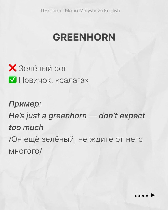 Слайд: слово «GREENHORN» с указанием неправильного и правильного перевода (новичок, салага) и примером употребления в предложении.