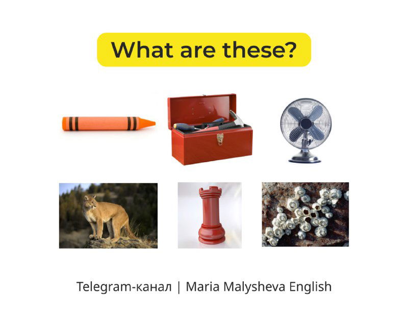 Словарный запас ➕ развлечение 🦄