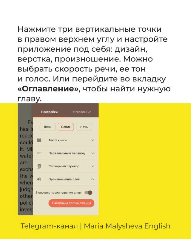Настройки оформления и оглавления: нажатие трех вертикальных точек открывает меню с версткой, произношением, скоростью речи и переходом к нужной главе.