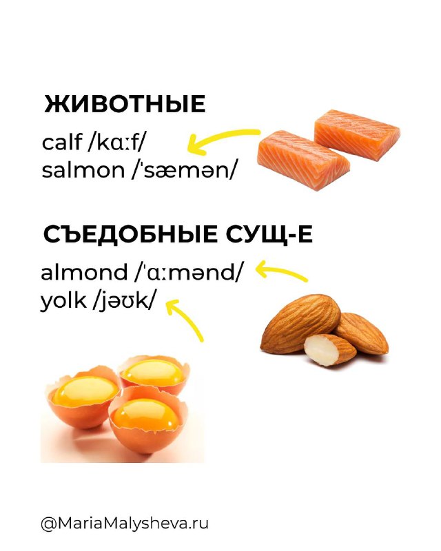 Карточка со словами про животных и съедобные существительные (calf, salmon, almond, yolk) с транскрипцией и фото лосося, яичных желтков и миндаля.