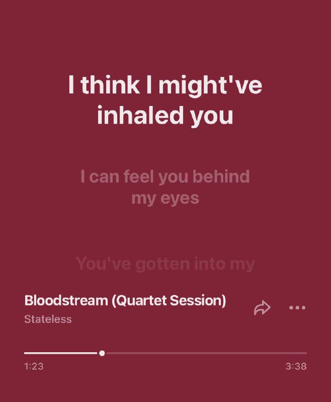 Скриншот плеера с бордовым фоном и текстом «I think I might've inhaled you», видна полоса воспроизведения и название трека — акцент на примере из песни.