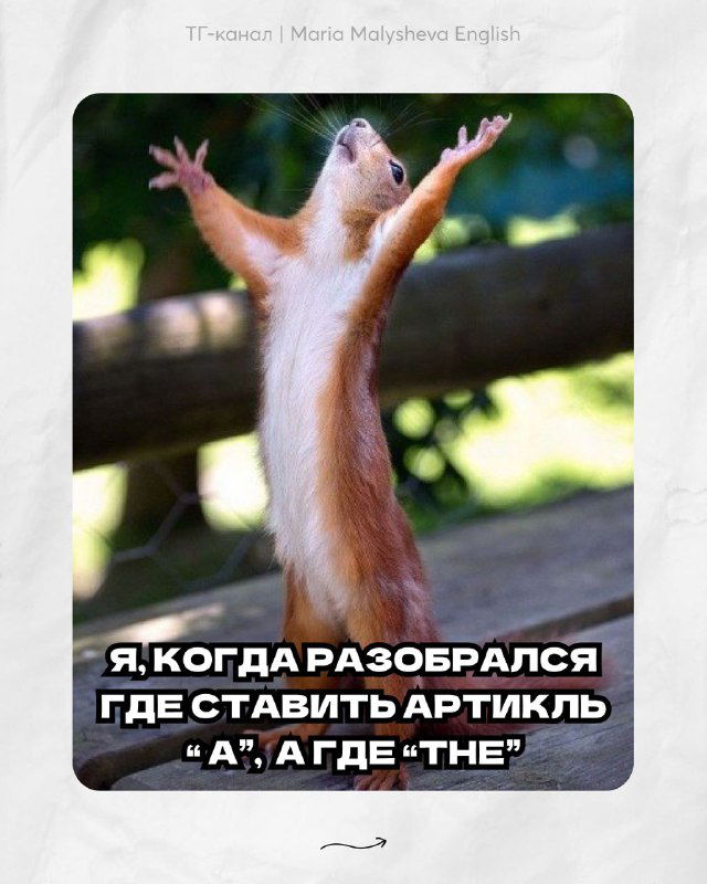 Мем с белкой, раскинувшей лапы; подпись про понимание, где ставить артикли a и the — юмор про типичные ошибки при изучении английского.
