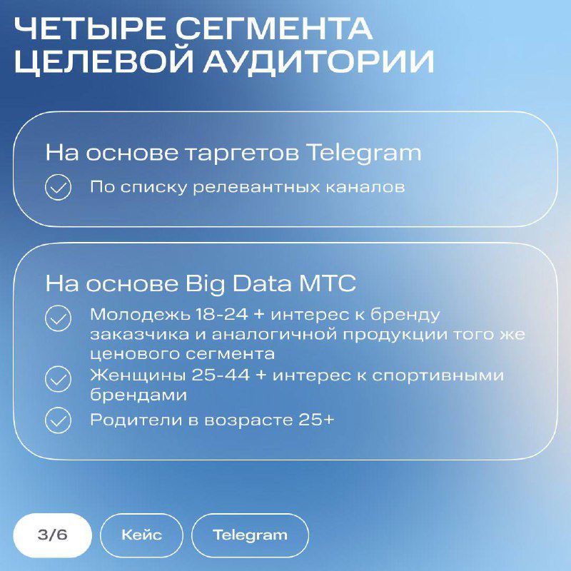Слайд «Четыре сегмента целевой аудитории»: перечислены сегменты на основе таргетов Telegram и данных Big Data МТС с краткими описаниями и возрастными группами.