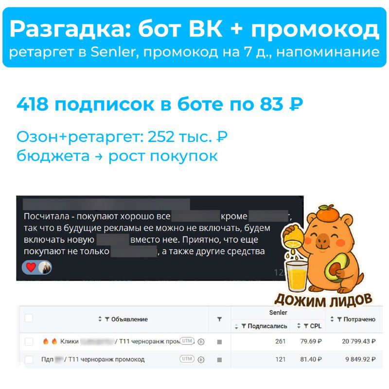 Скрин кампании: карточка с заголовком «Разгадка: бот ВК + промокод», табличные метрики кампании, показатели подписок и бюджета, иллюстрация/стикеры справа.
