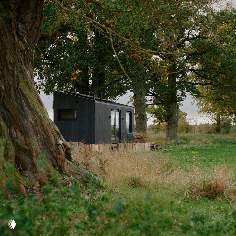 Чёрный компактный домик-глэмпинг на деревянной платформе в поле рядом с крупным старым деревом, вид на фасад и окружающую зелень.