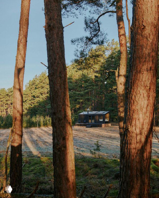 Одинокий домик-глэмпинг на поляне между соснами, снятый через стволы деревьев, вид на удалённый тёмный модуль с окнами.