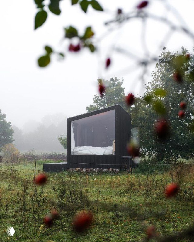 Интерьер/спальня в домике-глэмпинге с прозрачной стеной и видом на туманное поле и ягодную растительность на переднем плане.