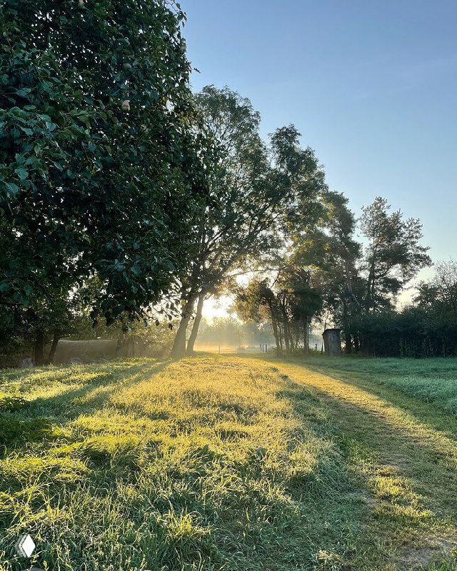 Утренний солнечный пейзаж с тропинкой и зелёной поляной, деревья и мягкий свет рассвета вокруг удалённых домиков-глэмпингов.