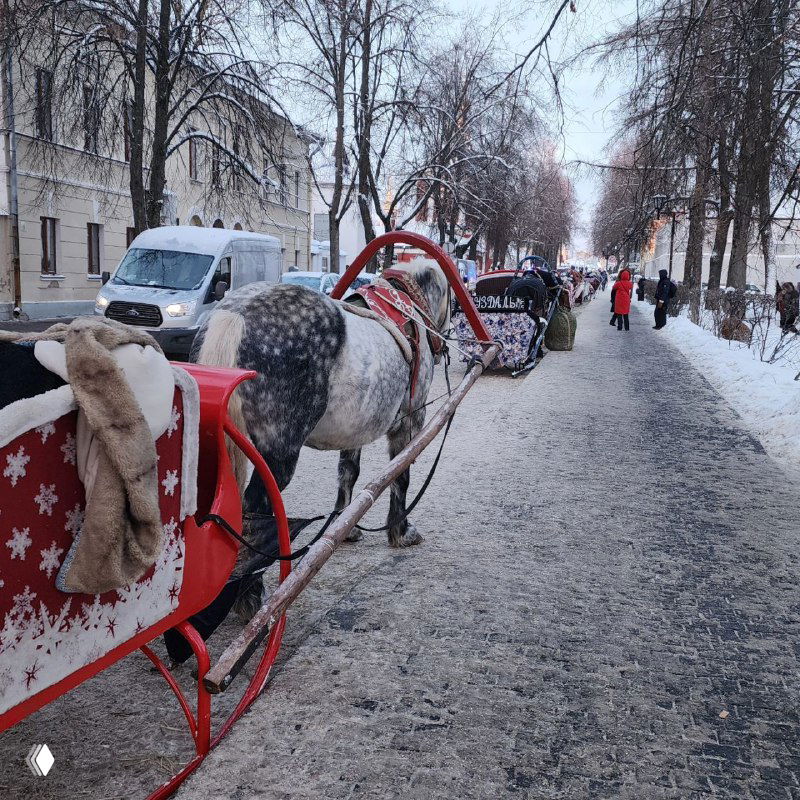 Ряд саней, запряжённых лошадьми, стоящих вдоль заснеженной улицы Суздаля; туристы и декоративные сани создают ощущение праздничной активности.