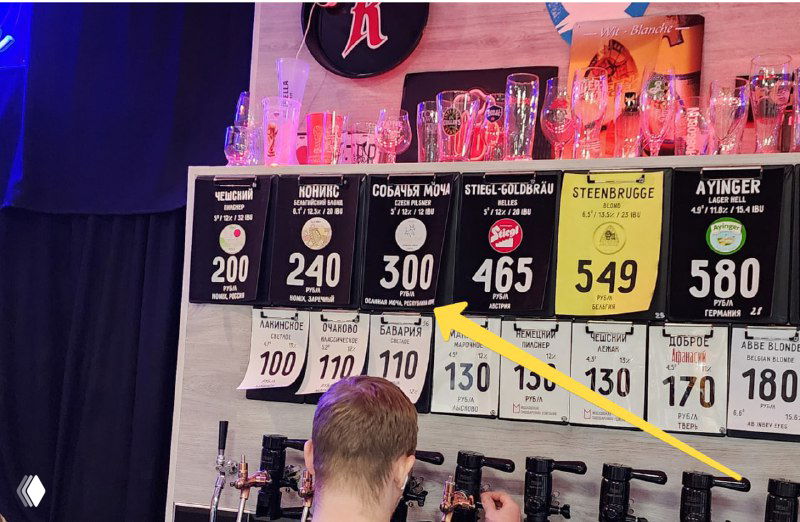 Краны разливного пива с табличками и ценами; видно провокационное название на этикетке «Собачья моча», на переднем плане посетитель спиной.