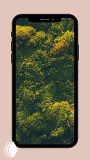 Экран смартфона с кадром густой зелёной листвы — превью рилса про спа‑день в отеле, передаёт атмосферу природы и релаксации.