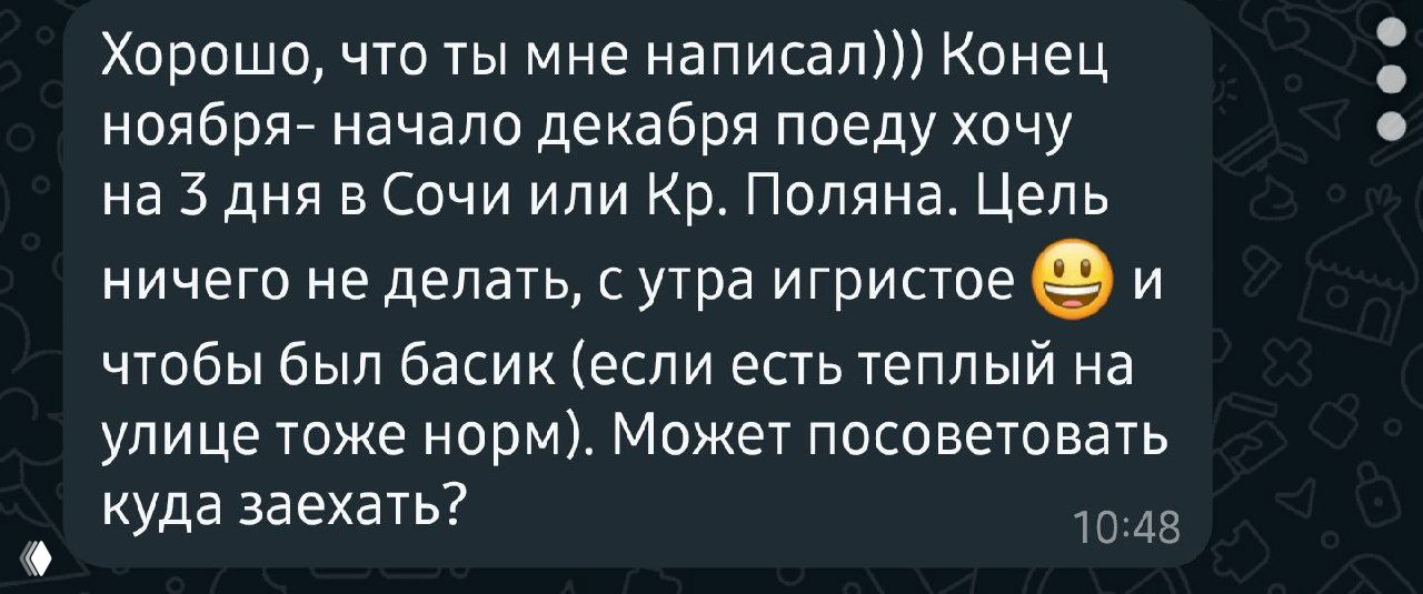 Скриншот переписки с планами поездки в Сочи или Красную Поляну: цель — отдых и спокойный досуг, видно сообщения с пожеланиями по отелю.