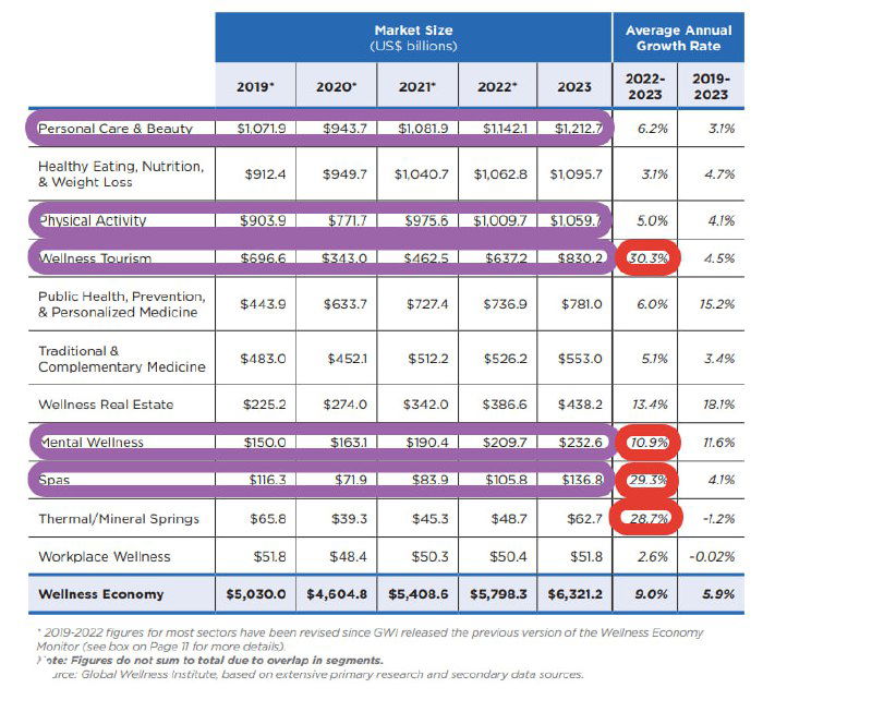 Таблица и сводные цифры из отчёта с выделенными красными маркерами быстрых темпов роста сегментов велнесс-экономики и показателями по годам.