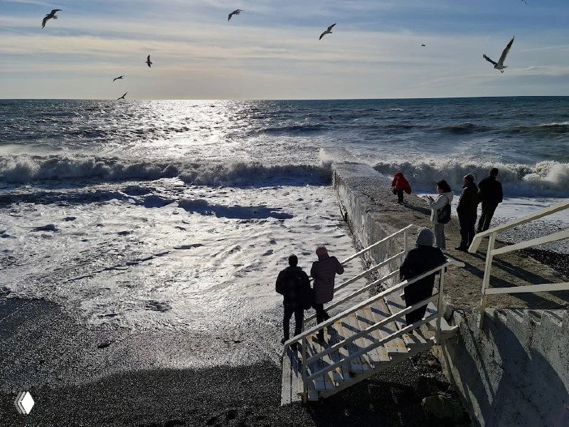 Зимний берег Сочи: люди на пирсе наблюдают за бурными волнами и чайками в небе, холодный декабрьский свет и каменистый пляж.