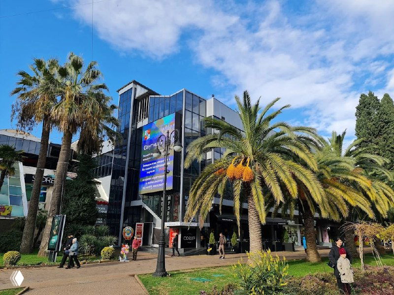 Городской пейзаж курорта Сочи: пальмы перед современным центром с вывесками и пешеходными зонами, зелень и городская архитектура в декабре.