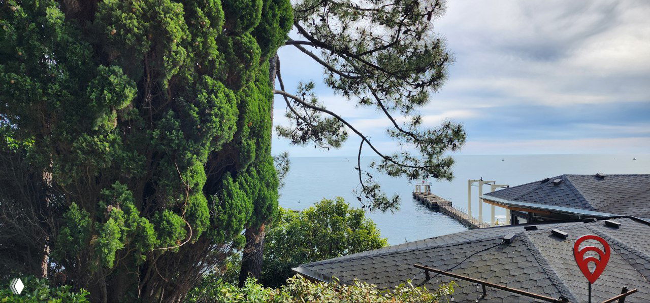 Панорамный вид на Чёрное море и пирс в Сочи; в кадре сосны, крыши зданий и заметный красный указатель с символом Wi‑Fi.