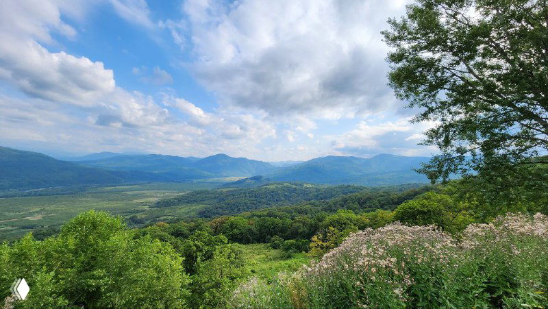 Панорамный вид с горной смотровой площадки в Адыгее: зелёные склоны, глубокая долина внизу, редкие деревья и выразительное облачное небо.