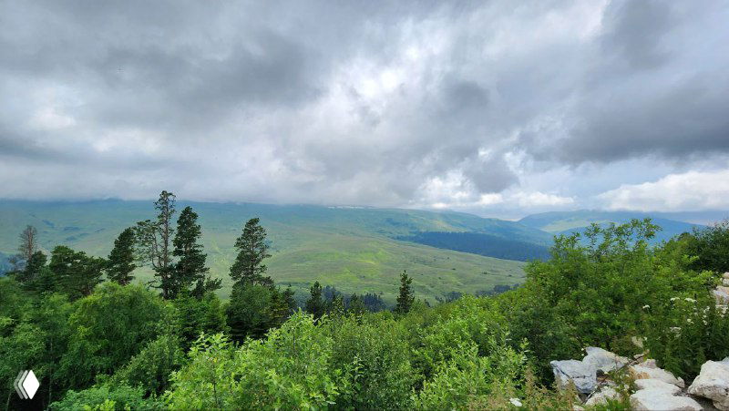 Зелёные предгорья и смотровые локации в Адыгее: ближний план с кустарником, далее — открытые луга и вдали мягкие силуэты гор под облачным небом.