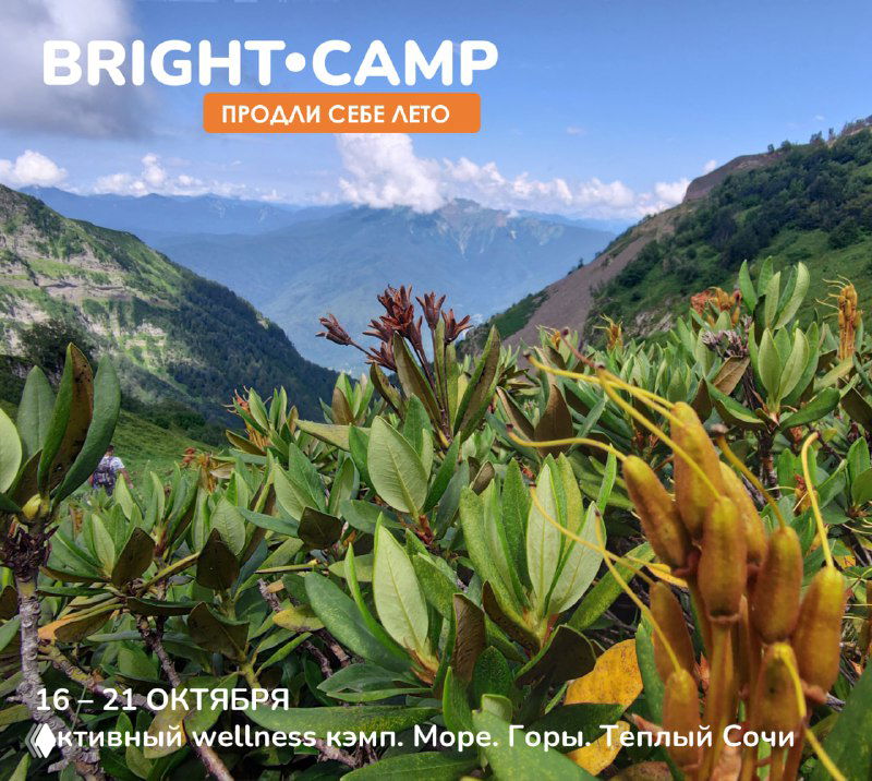 Панорамный горный пейзаж Сочи с зелёными кустами на переднем плане и крупной надписью BRIGHT CAMP; иллюстрация к кэмпу «Продли себе лето».