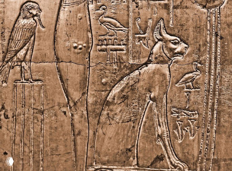 Миути: загадочный котодемон загробного мира