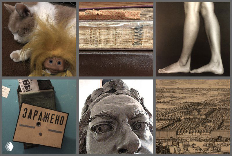 Коллаж из шести фрагментов: кошка с игрушкой, корешок книги, человеческие ноги, табличка «ЗАРАЖЕНО», скульптурное лицо и старая карта.