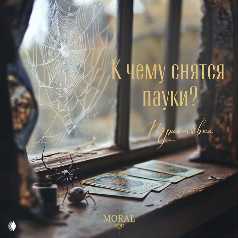 Фотография паутины на подоконнике рядом с таро-картами и маленьким пауком — атмосферная иллюстрация к теме сновидений и символов.