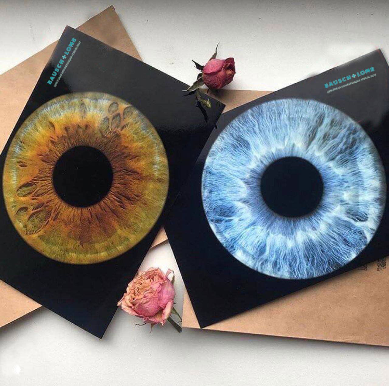 Печатные макро‑снимки радужки глаза на темном фоне: два крупных изображения радужки рядом, рядом лежат засушенные розы.