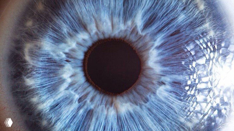 Крупный план радужки голубого глаза с выраженными радиальными узорами и текстурами — пример фотосувенира для мероприятий.