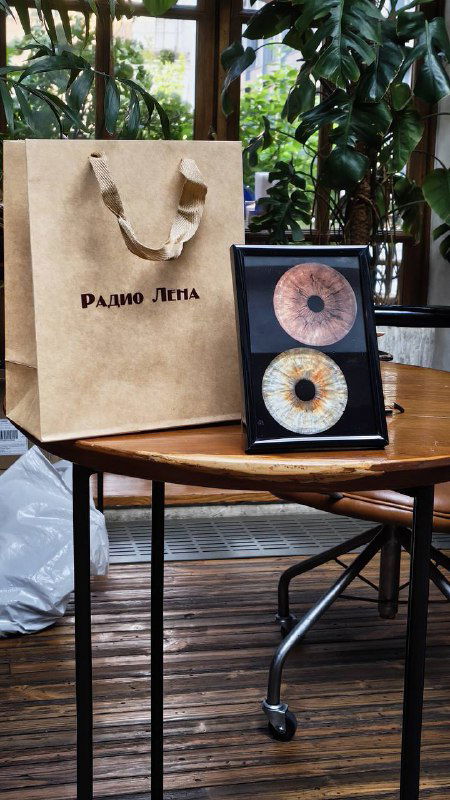 Стол с крафтовым пакетом и экспозицией — рамка с напечатанными макро‑фотографиями радужки глаза на фоне растений и мебели в локации.