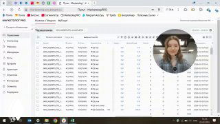 Скриншот интерфейса Маркетолог PRO: таблица объявлений и круговое окно с Мелиной; демонстрация массового импорта объявлений через Excel.