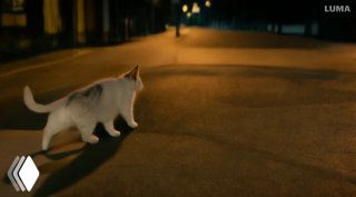 Кот идёт по улице в тёплом вечернем освещении; кадр показывает проблемы с хвостами и смешением конечностей при генерации животных сцен.