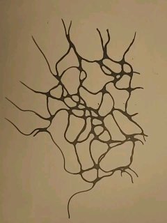 Нарисованная нейрографическая сеть маркером: контрастные узлы и связующие линии, видны текстуры штрихов и плотность чернил.