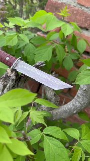 Крупный план клинка ножа Танто в зелёной листве; хорошо различим прямой наконечник, узор дамаска и часть коричневой рукояти с текстурой.