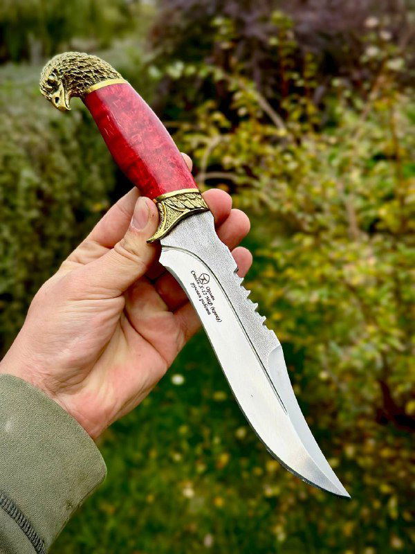 Нож «Орлан» с красной рукоятью из карельской берёзы в руке: заметна финишная отделка рукояти, латунная гарда и острый профиль клинка Х12мф.
