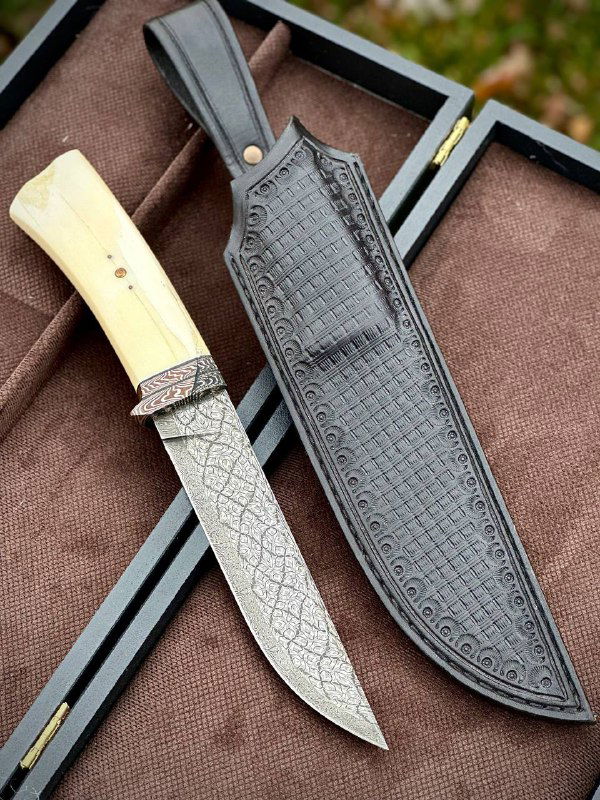 Нож в кожаных ножнах лежит в раскрытом футляре; видно контраст светлой рукояти и тёмных ножен с тиснением, фото на фоне ткани и травы.