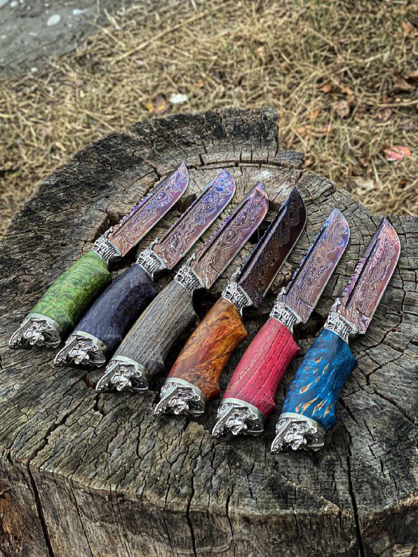 Вид сверху на несколько ножей «Пират» с кожаными ножнами и разноцветными рукоятями, разложенные веером на пне среди сухой травы