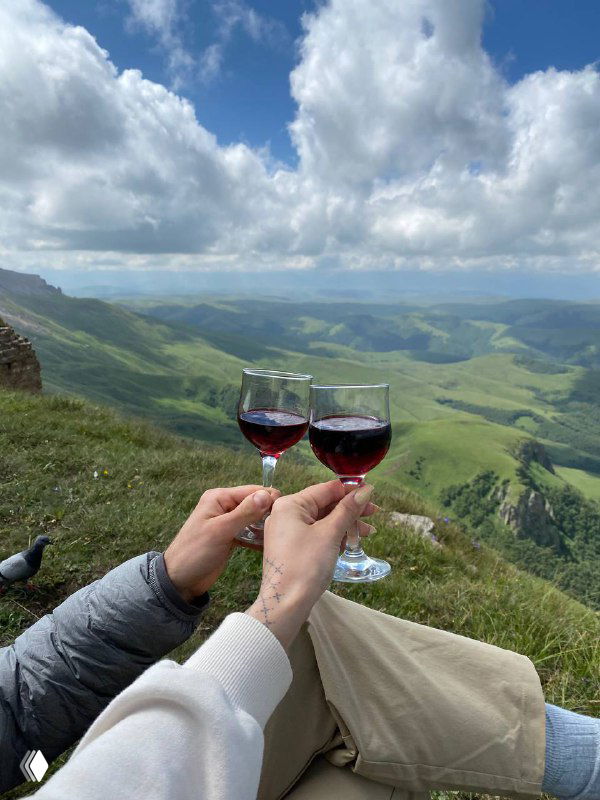 Руки держат два бокала вина на фоне широких зелёных гор и облачного неба — кадр с пейзажем плато и атмосферой горного отдыха.