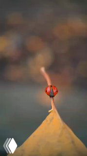 Макрофотография: маленькая красная капля или бусина на вершине жёлтого острого предмета на размытом фоне, создающая настроение созерцания и хрупкости.