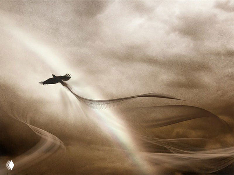 Абстрактная сцена: парящая птица над туманными формами и радужной дугой на фоне дымчатого неба, коричневые тона.